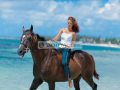Horse_Riding_sugar_beach_2100x1419_300_RGB