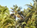 IruFushi_island_Garden_Beaches_0017