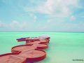 81066884-H1-Beach_Rouge