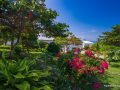garden 9